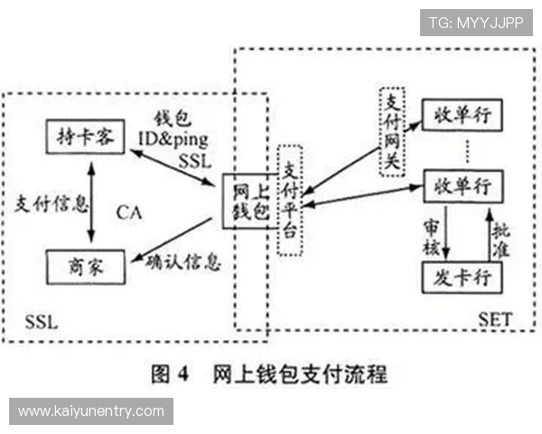 探讨开云唯一官网的支付方式及其安全性，为您提供全面的支付指南